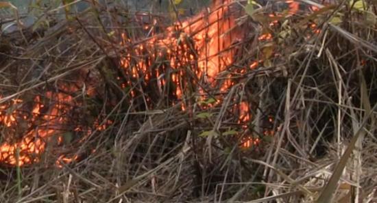 Fire Erupts In Hanthana Forest Reserve